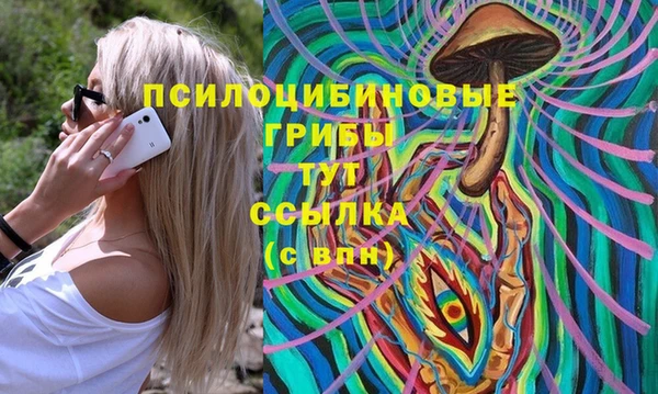2c-b Алзамай