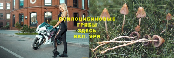 2c-b Алзамай